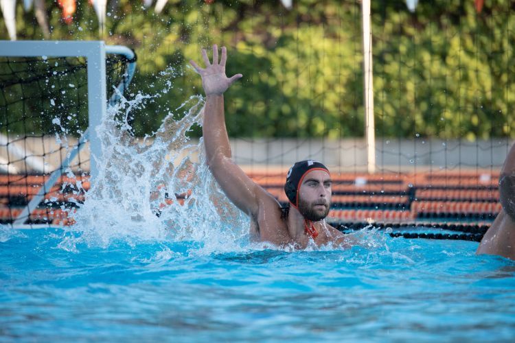 Seven water polo studentathletes headline 16 Tigers named allconference